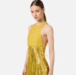 Red Carpet|Abiti Red Carpet|Elisabetta Franchi Abito red carpet ricamato con frange d'organza Mimosa