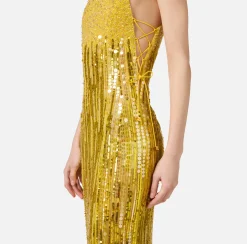 Red Carpet|Abiti Red Carpet|Elisabetta Franchi Abito red carpet ricamato con frange d'organza Mimosa