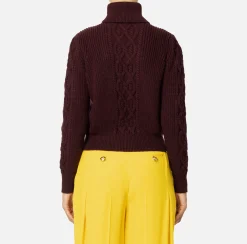 Maglieria E Felpe|Elisabetta Franchi Dolcevita in lana tipo college RougeNoir/Mimosa