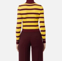 Maglieria E Felpe|Elisabetta Franchi Maglia cropped in viscosa lurex a righe RougeNoir/Mimosa