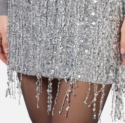 Gonne|Elisabetta Franchi Minigonna in tulle ricamata con frange di paillettes Silver